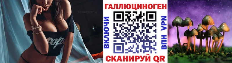 дарнет шоп  Усть-Илимск  Галлюциногенные грибы Psilocybe 