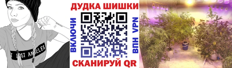 купить   Усть-Илимск  МАРИХУАНА MAZAR 